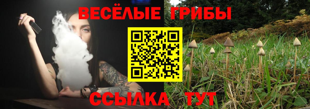 Галлюциногенные грибы прущие грибы  Вход с VPN  Псилоцибиновые грибы Cubensis  Стерлитамак 