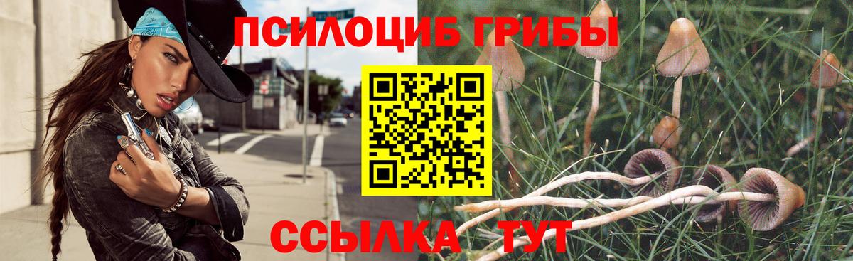 Галлюциногенные грибы MAGIC MUSHROOMS Стерлитамак